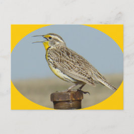 B42 Westelijke Weideleeuwerik Briefkaart
