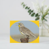 B42 Western Meadowlark Briefkaart (Staand voorkant)