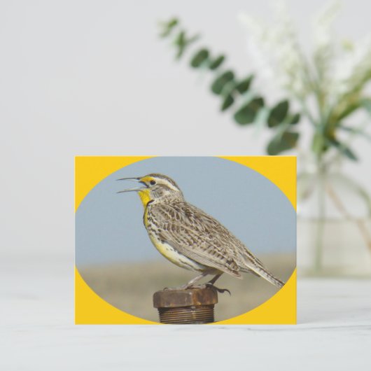 B42 Western Meadowlark Briefkaart (Staand voorkant)