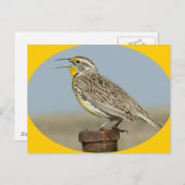 B42 Western Meadowlark Briefkaart (Voorkant / Achterkant)