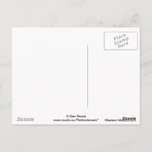 B42 Western Meadowlark Briefkaart (Achterkant)