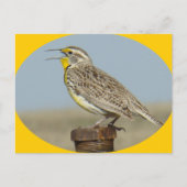 B42 Western Meadowlark Briefkaart (Voorkant)