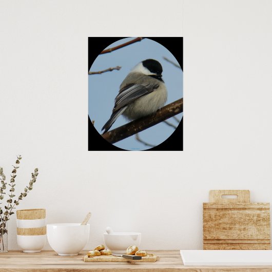 B43 Zwarte cichorei Poster (Keuken)