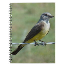 B44 Koningsvogel Notitieboek