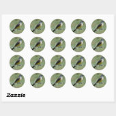 B44 Westelijke Koningstiran Ronde Sticker (Vel)