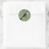 B44 Westelijke Koningstiran Ronde Sticker (Tas)