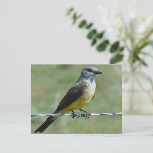 B44 Western Kingbird Briefkaart (Staand voorkant)