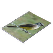 B44 Western Kingbird Notitieboek (Linkerzijde)