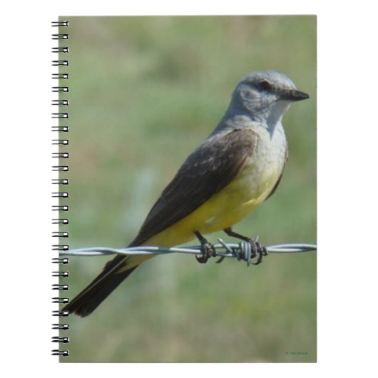 B44 Western Kingbird Notitieboek (Voorkant)