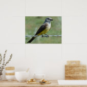 B44 Western Kingbird Poster (Keuken)