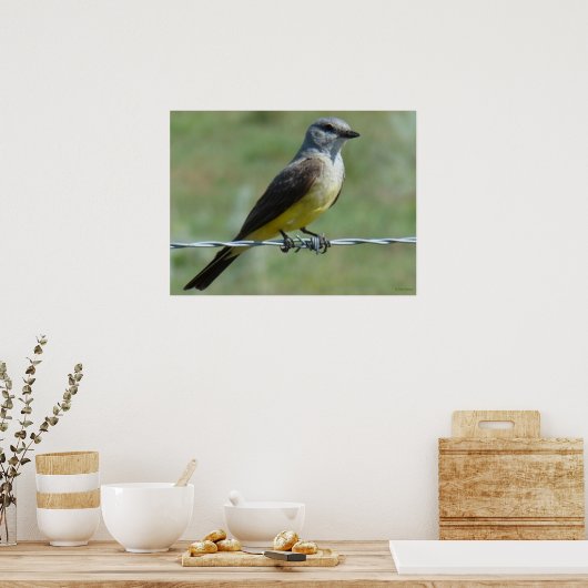 B44 Western Kingbird Poster (Keuken)