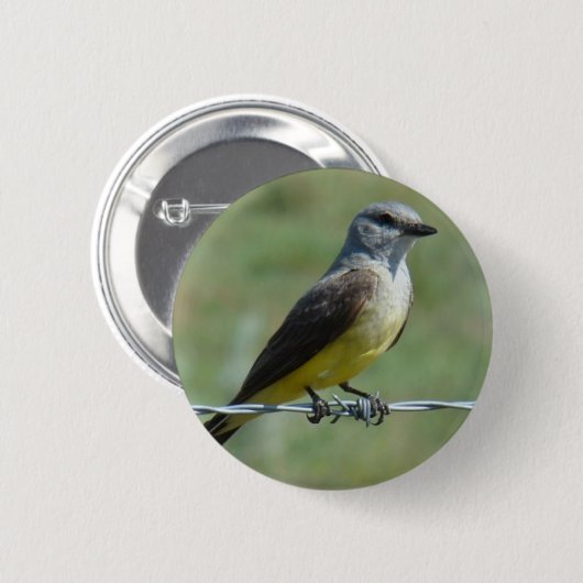 B44 Western Kingbird Ronde Button 5,7 Cm (Voorkant /achterkant)
