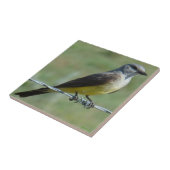 B44 Western Kingbird Tegeltje (Zijkant)