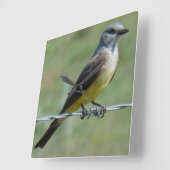 B44 Western Kingbird Vierkante Klok (Hoek)