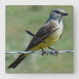 B44 Western Kingbird Vierkante Klok