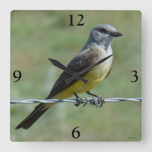 B44 Western Kingbird Vierkante Klok