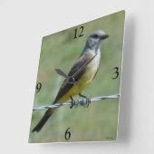 B44 Western Kingbird Vierkante Klok (Hoek)