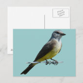 B45 Koningsvogel Briefkaart (Voorkant / Achterkant)