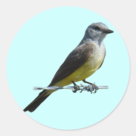 B45 Koningsvogel Ronde Sticker (Voorkant)