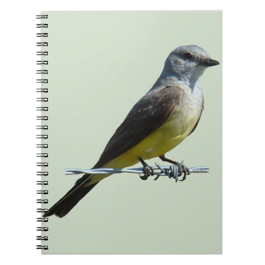B45 Westelijke Koningsvogel Notitieboek (Voorkant)