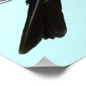 B45 Westelijke Koningsvogel Poster (Hoek)