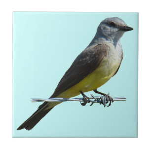 B45 Westelijke Koningsvogel Tegeltje