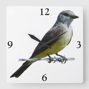 B45 Westelijke Koningsvogel Vierkante Klok