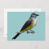 B45 Western Kingbird Briefkaart (Voorkant / Achterkant)