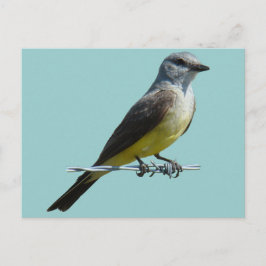 B45 Western Kingbird Briefkaart