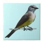 B45 Western Kingbird Tegeltje (Voorkant)