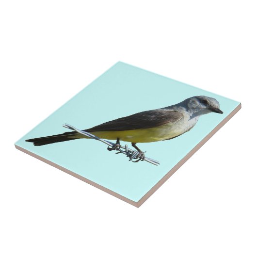 B45 Western Kingbird Tegeltje (Zijkant)