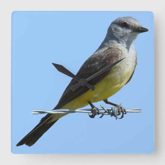 B45 Western Kingbird Vierkante Klok (Voorkant)