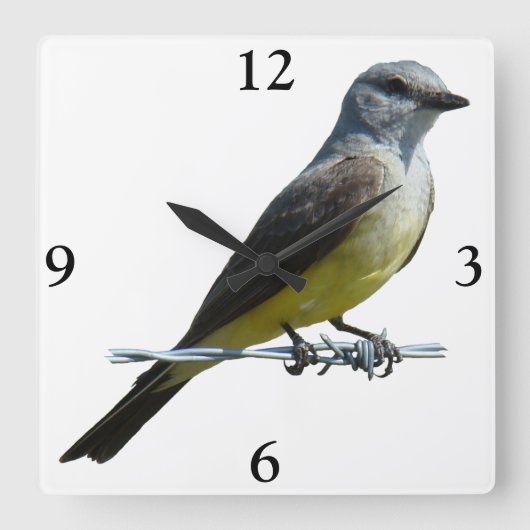 B45 Western Kingbird Vierkante Klok (Voorkant)