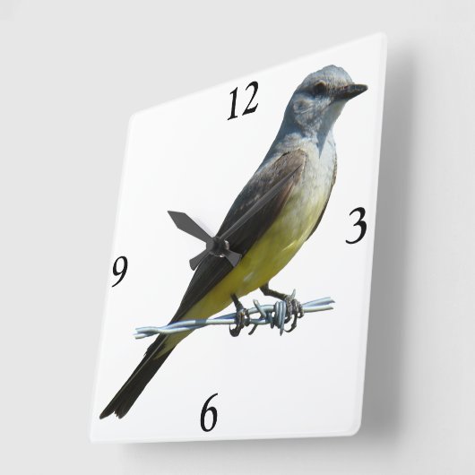 B45 Western Kingbird Vierkante Klok (Hoek)