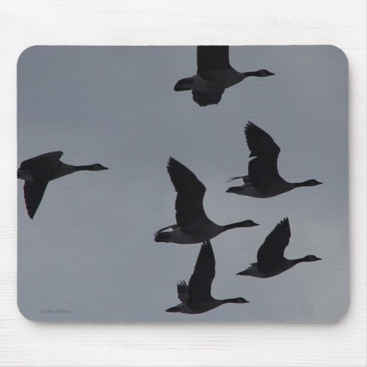 B46 Canadese ganzen in de vlucht Muismat (Voorkant)