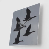 B46 Canadese Ganzen in Vlucht Vierkante Klok (Hoek)