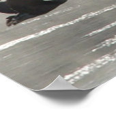B47 Canadese Ganzen Boven Bevroren Rivier Poster (Hoek)