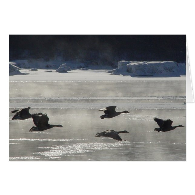 B47 Canadese ganzen over de bevroren rivier (Voorkant Horizontaal)