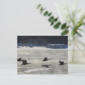 B47 Canadese ganzen over de bevroren rivier Briefkaart (Staand voorkant)