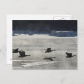B47 Canadese ganzen over de bevroren rivier Briefkaart (Voorkant / Achterkant)