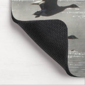 B47 Canadese ganzen over de bevroren rivier Muismat (Hoek)