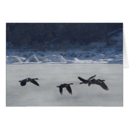 B48 Canadese Ganzen Boven Bevroren Rivier