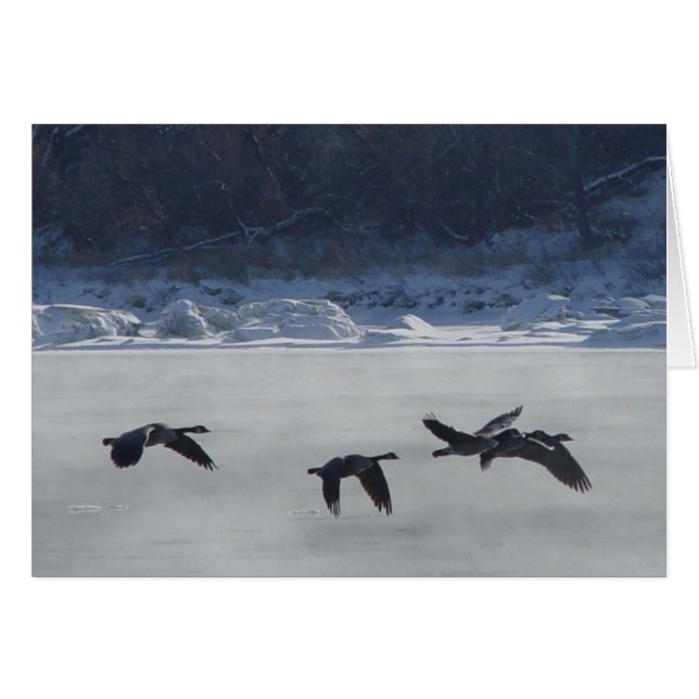 B48 Canadese ganzen over de bevroren rivier (Voorkant Horizontaal)