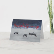 B48 Canadese ganzen over de bevroren rivier