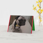 B4 Ongehoorzame Lijst Kaart (Gele Bloem)