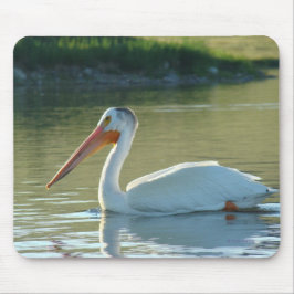 B4 White Pelican Muismat
