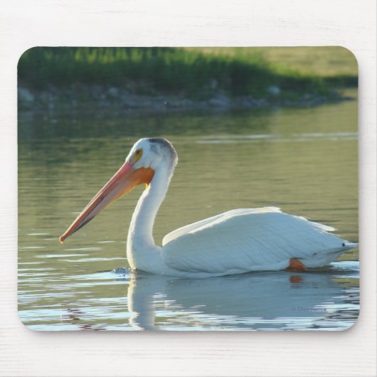 B4 White Pelican Muismat (Voorkant)