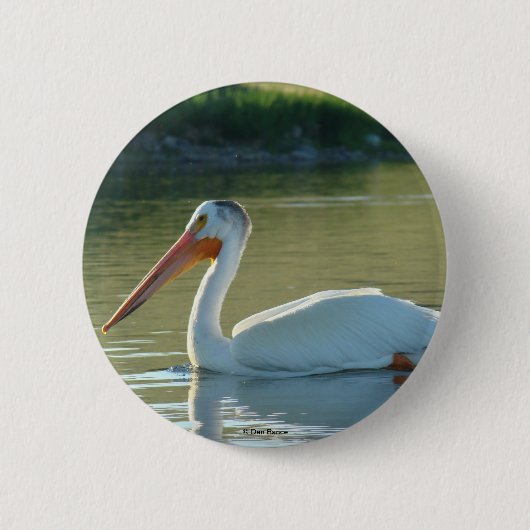 B4 Witte Pelican Ronde Button 5,7 Cm (Voorkant)