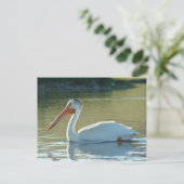 B4 Witte Pelikaan Briefkaart (Staand voorkant)