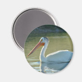 B4 Witte Pelikaan Magneet (Voorkant / Achterkant)